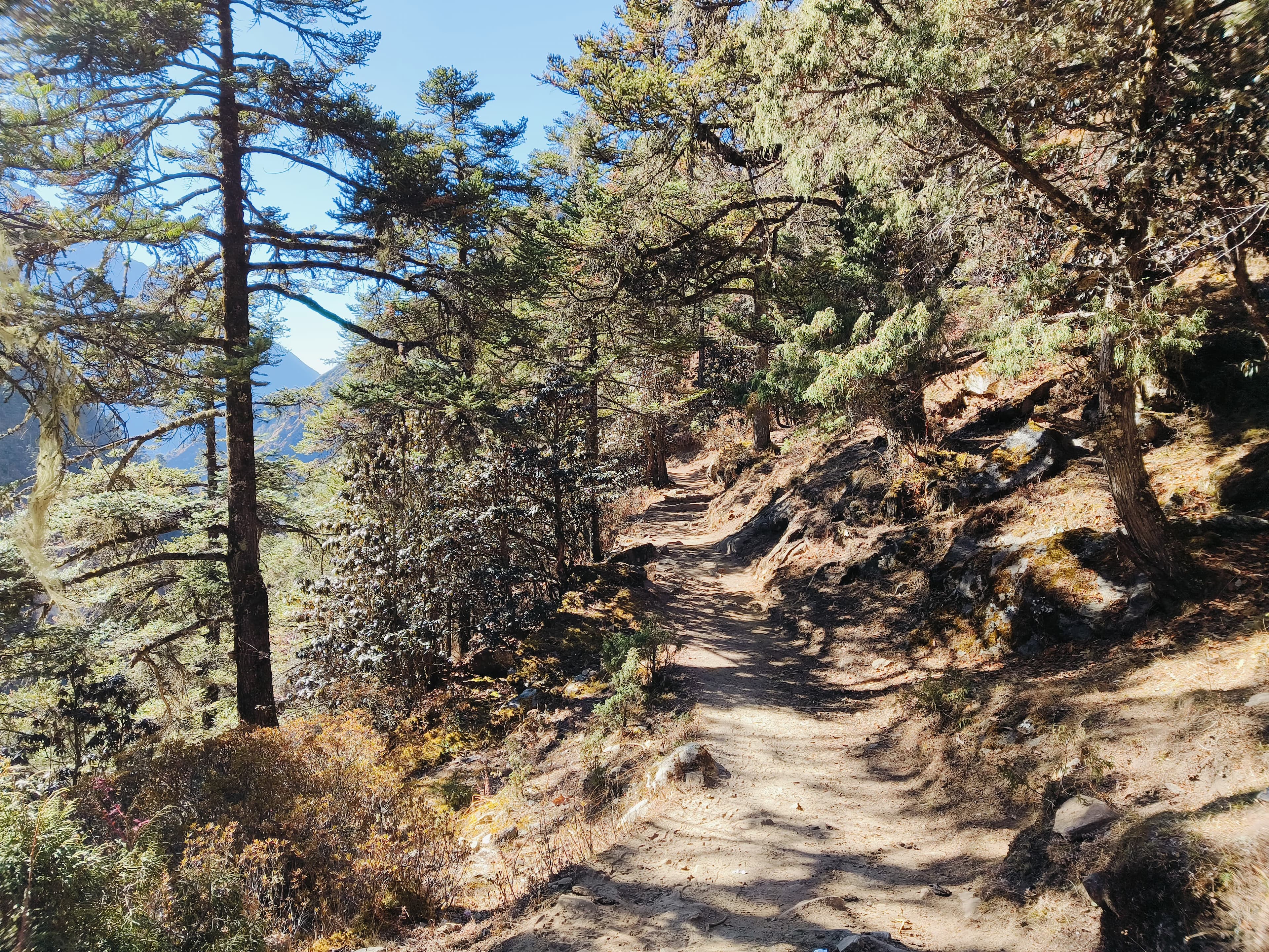 Pickey Peak Trek gallery image 2